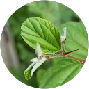 Jagan Gopi profile picture