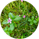 kalai arasan profile picture