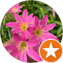 Thulashi Thula profile picture