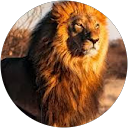 Mohanasri Thangarasu profile picture
