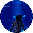 Arun R profile picture